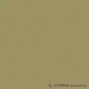 Thumb_v8_004_1