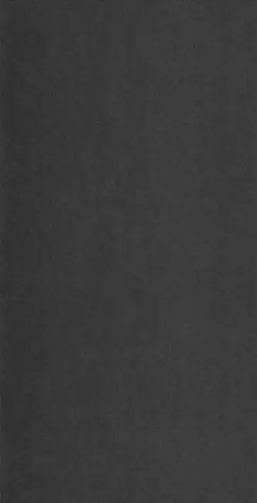 Big_8238_99_99_coto_1