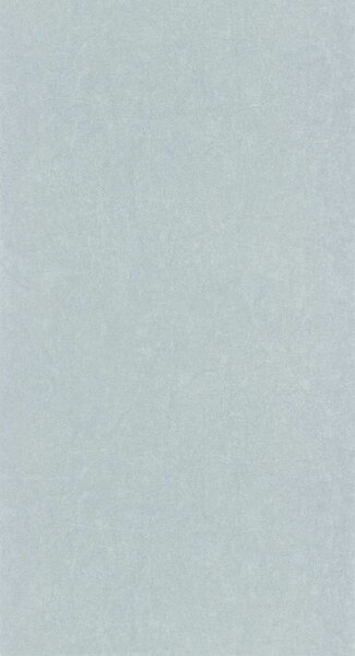 Big_8238_93_38_coto_1