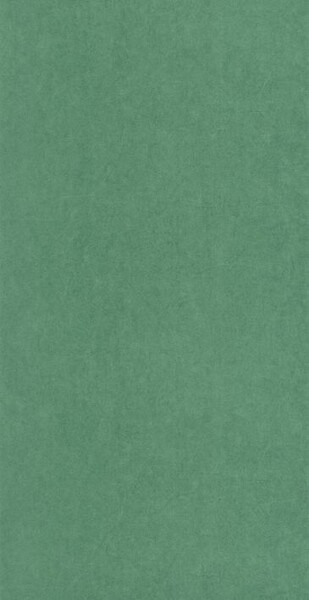 Big_8238_76_47_coto_1