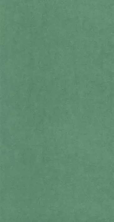 Big_8238_76_47_coto_1