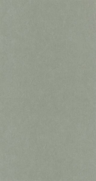 Big_8238_71_17_coto_1