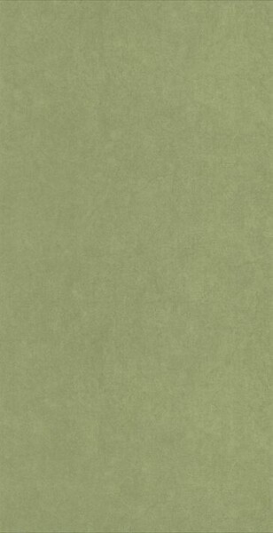 Big_8238_75_12_coto_1