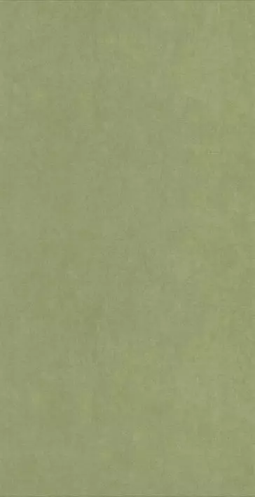 Big_8238_75_12_coto_1