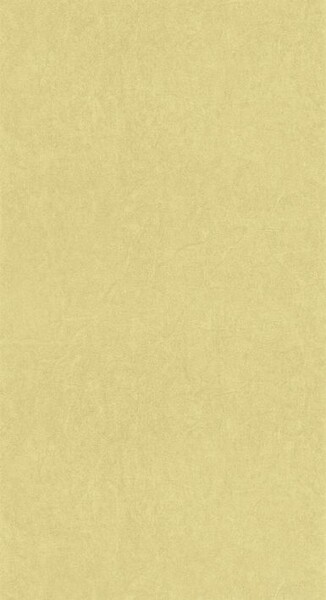 Big_8238_72_45_coto_1