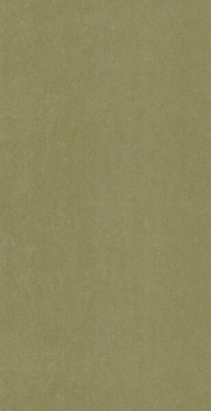 Big_8238_77_49_coto_1