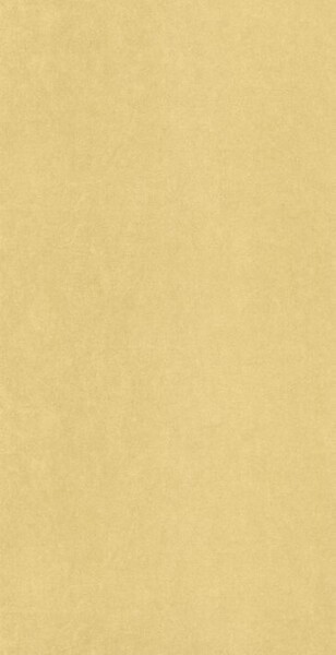 Big_8238_23_75_coto_1