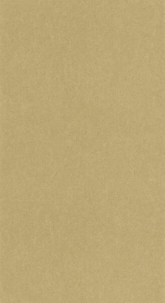 Big_8238_12_32_coto_1