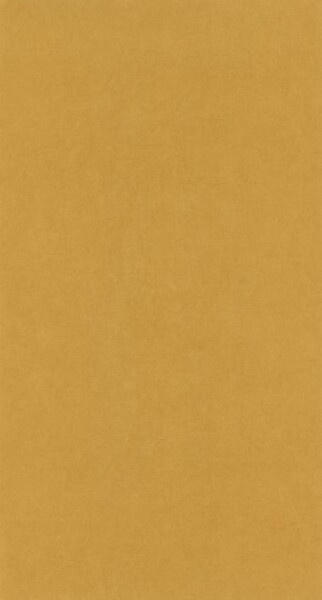 Big_8238_25_20_coto_1