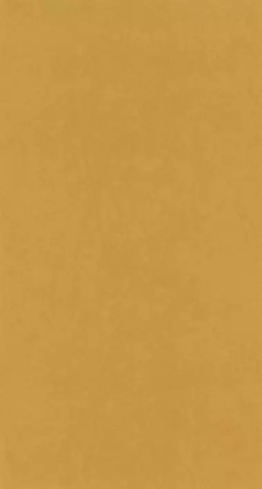 Big_8238_25_20_coto_1
