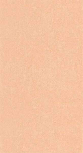 Big_8238_84_30_coto_1