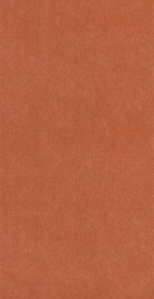 Big_8238_34_64_coto_1