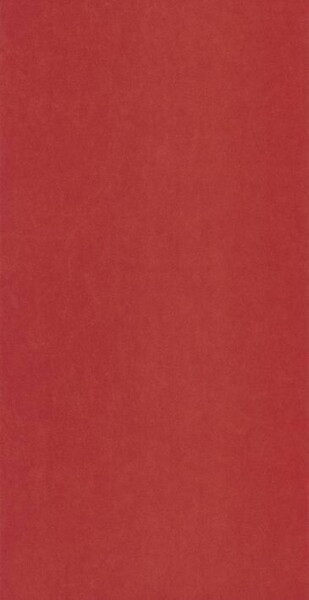 Big_8238_88_45_coto_1