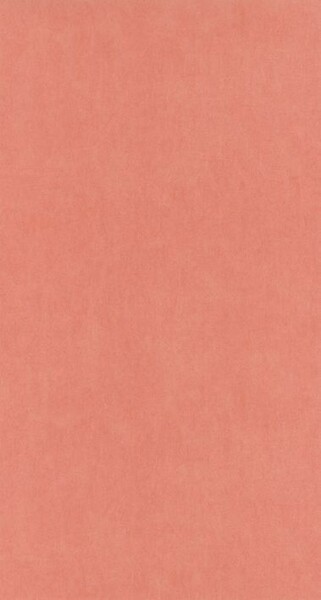 Big_8238_43_40_coto_1