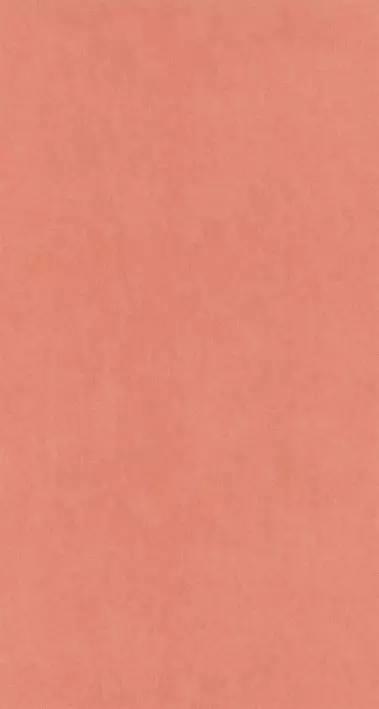 Big_8238_43_40_coto_1