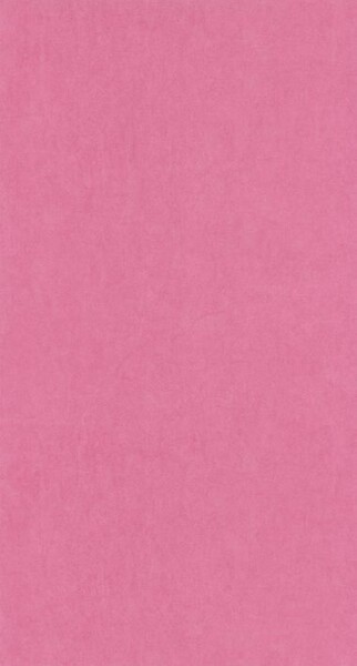 Big_8238_44_24_coto_1