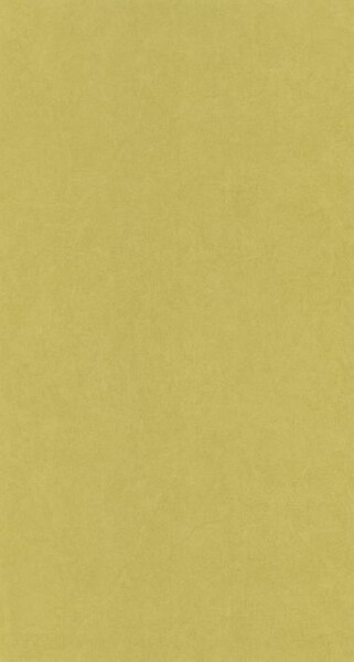 Big_8238_72_32_coto_1