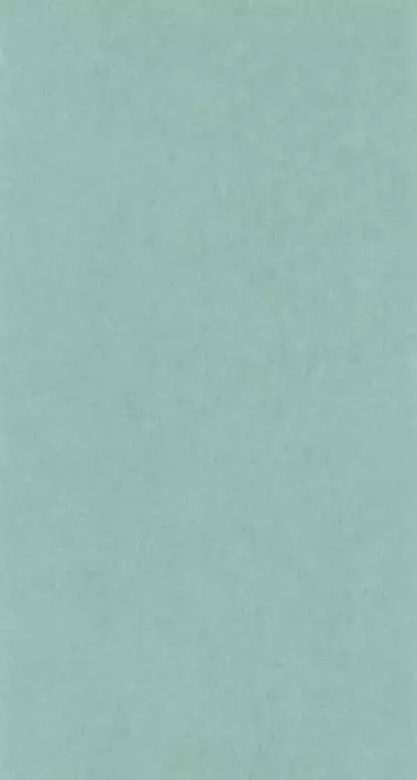 Big_8238_62_26_coto_1