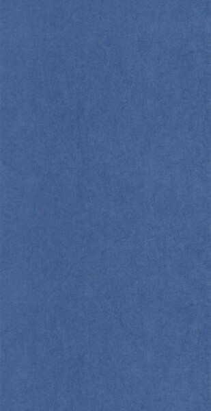 Big_8238_65_43_coto_1