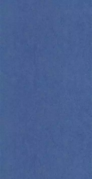 Big_8238_65_43_coto_1