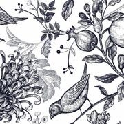 Thumb_497689288_smooth_1