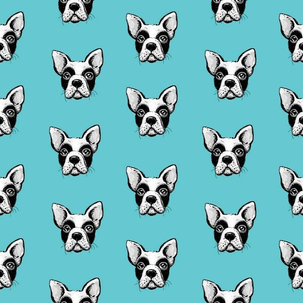 Big_496401730_smooth_1