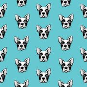 Thumb_496401730_smooth_1