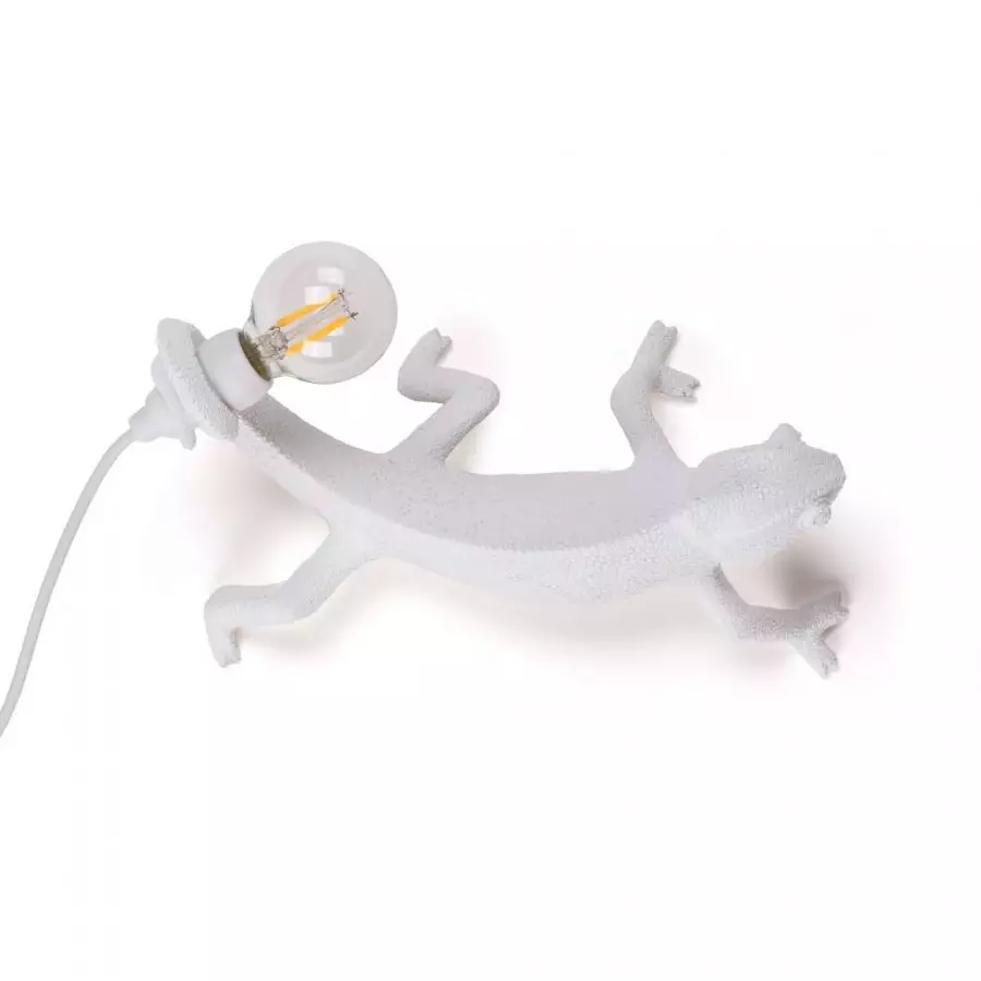 Big_nastennyy_svetilnik_chameleon_going_down_usb_1