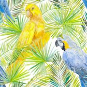 Thumb_359809943_smooth_1