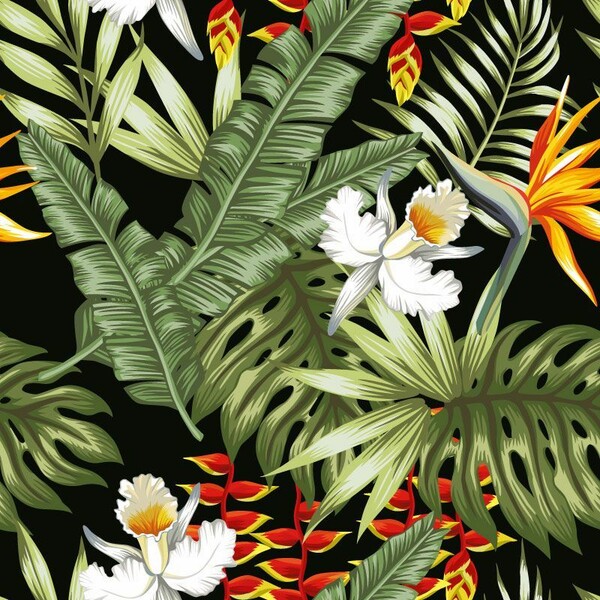 Big_777148291_smooth_48291_1