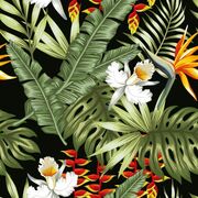 Thumb_777148291_smooth_48291_1