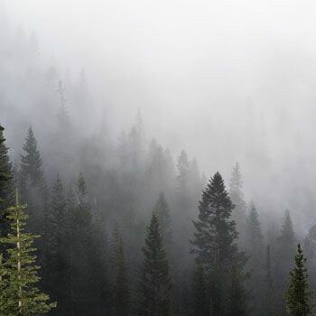 Big_1153552756_smooth_1