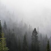 Thumb_1153552756_smooth_1