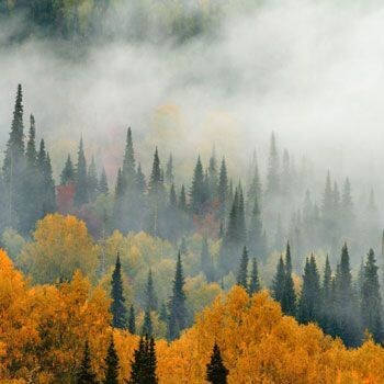 Big_1201300507_smooth_1