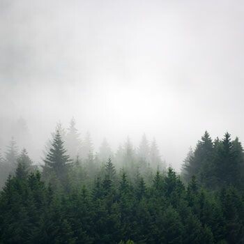 Big_1663901533_smooth_1