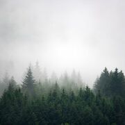 Thumb_1663901533_smooth_1