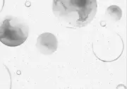 Thumb_planet_smooth_1