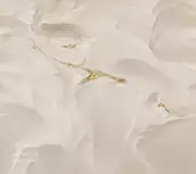 Thumb_vr_0020_g1_oro_1