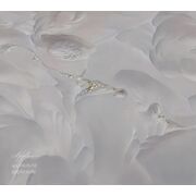 Thumb_vr_0020_s1_ardzhento_1