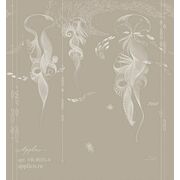 Thumb_vr_0025_a_terra_1