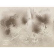 Thumb_vr_0029_a_presto_1