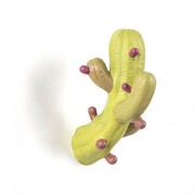 Thumb_veshalka_cactus_coloured_1