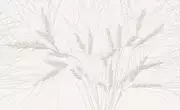 Thumb_coloss_1