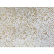 Thumb_2767_21_1