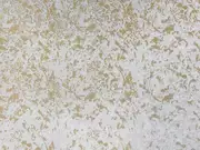 Thumb_2767_21_1