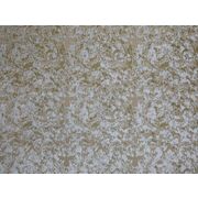 Thumb_2767_22_1