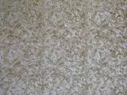 Thumb_2767_22_1