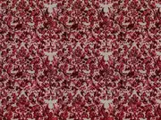 Thumb_2767_31_1