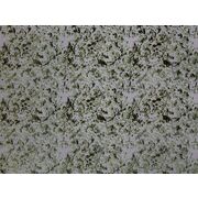 Thumb_2767_51_1