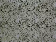 Thumb_2767_51_1
